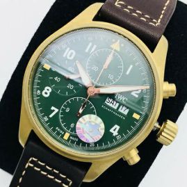 Picture of IWC Watch _SKU1643851097071529